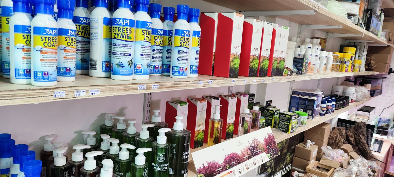 Inside the Gensou aquascaping shop at Everton Park