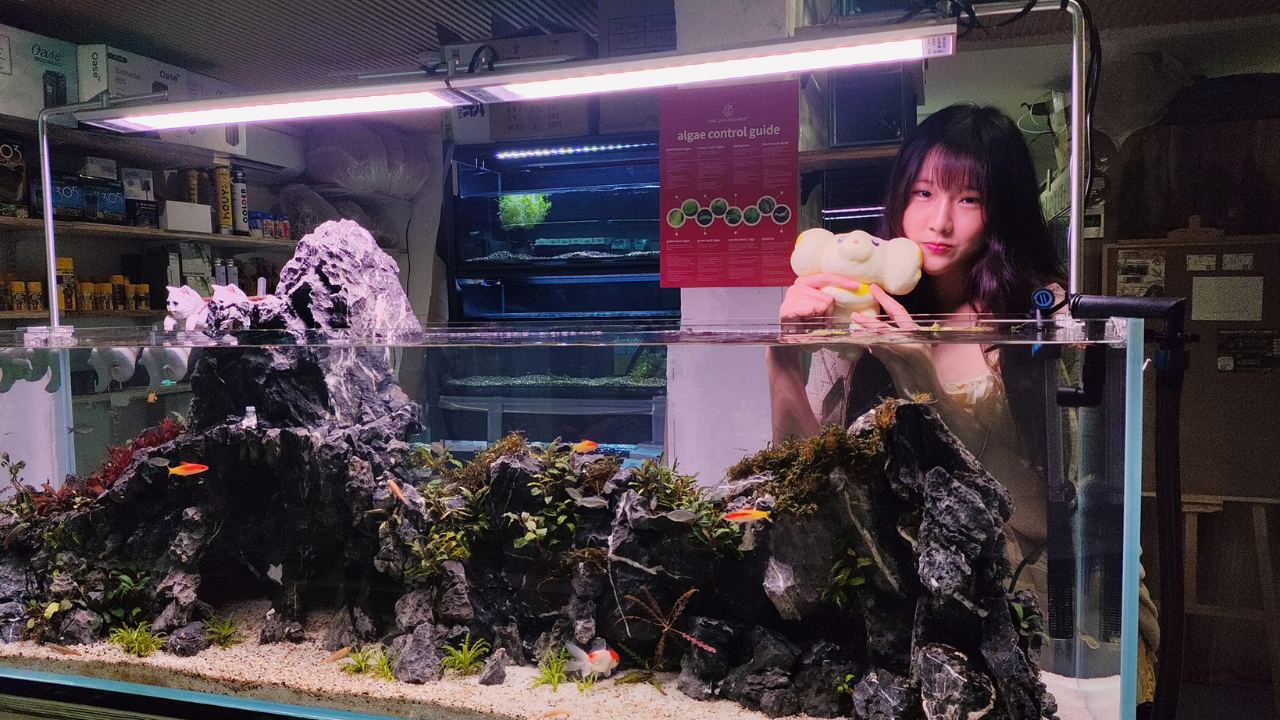Gensou Aquascaping Store
