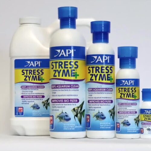 API Stress Zyme (Beneficial Bacteria for Aquarium)