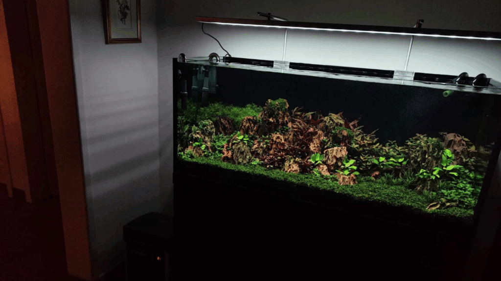 Gensou aquascape portfolio image 1