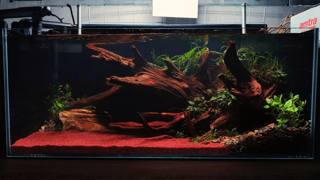 Gensou aquascape portfolio image 10