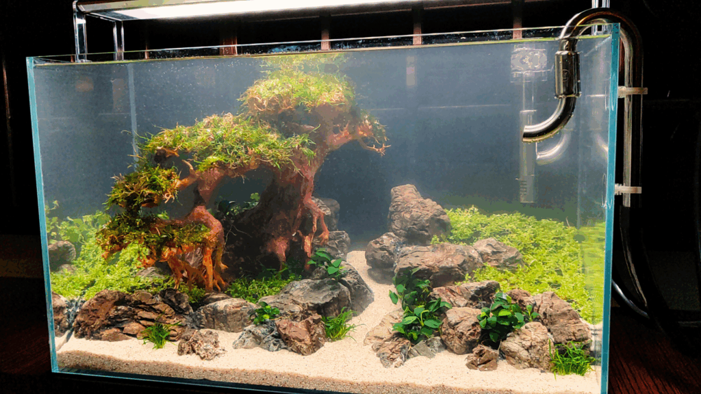 Gensou aquascape portfolio image 11