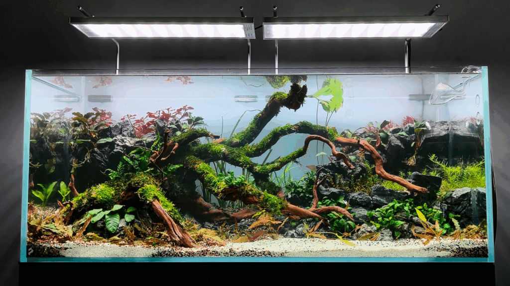 Gensou aquascape portfolio image 12