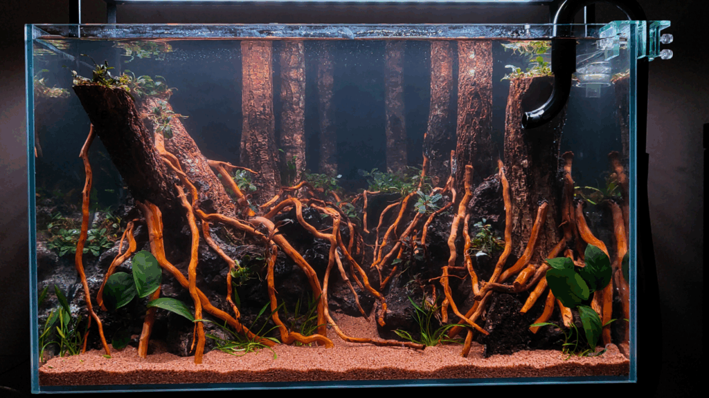 Gensou aquascape portfolio image 13