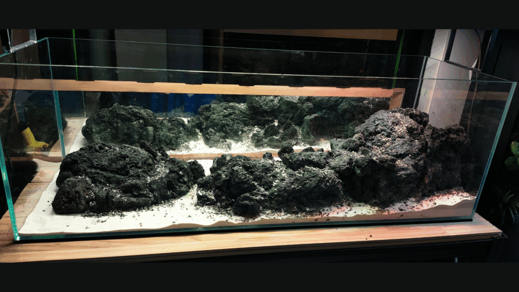 Gensou aquascape portfolio image 14