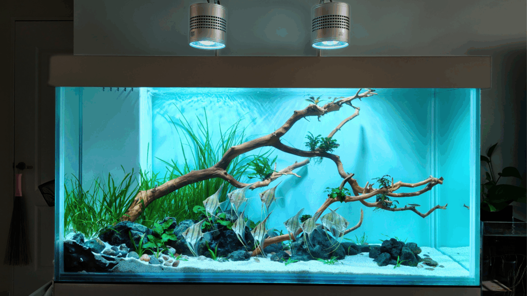 Gensou aquascape portfolio image 16