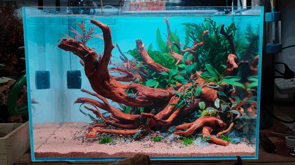 Gensou aquascape portfolio image 17