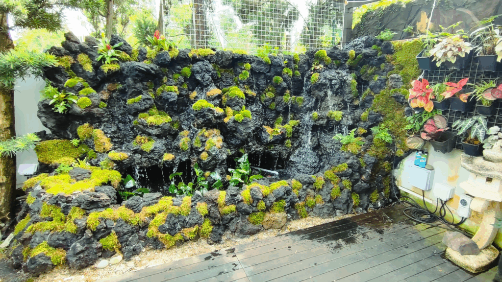 Gensou aquascape portfolio image 2