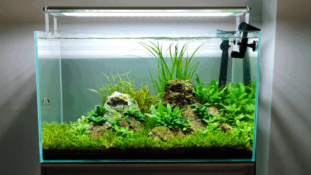 Gensou aquascape portfolio image 20