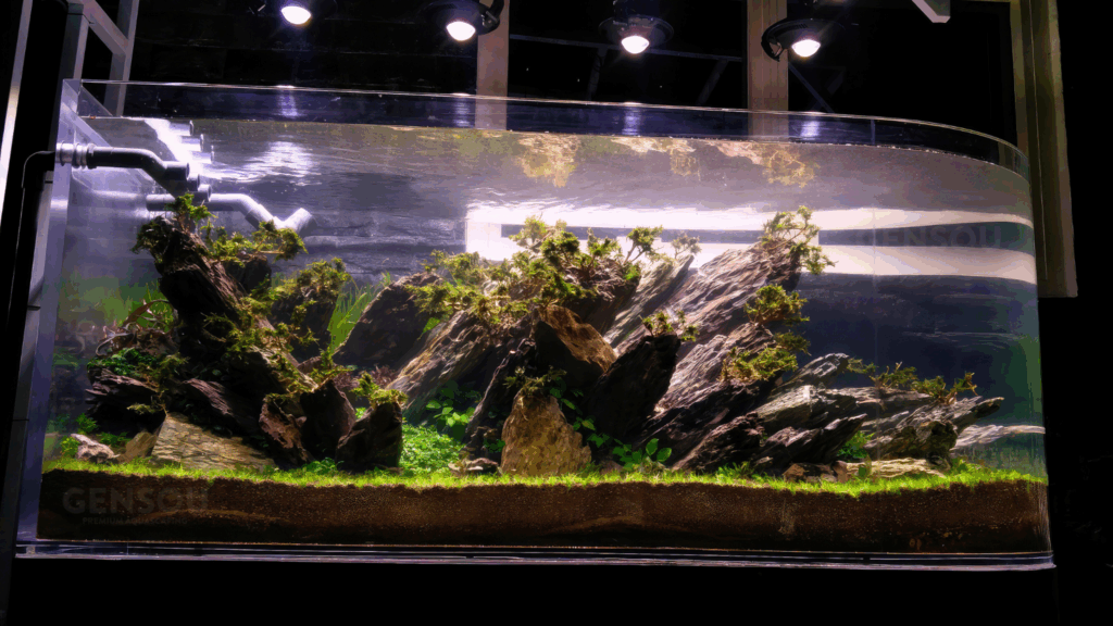 Gensou aquascape portfolio image 21