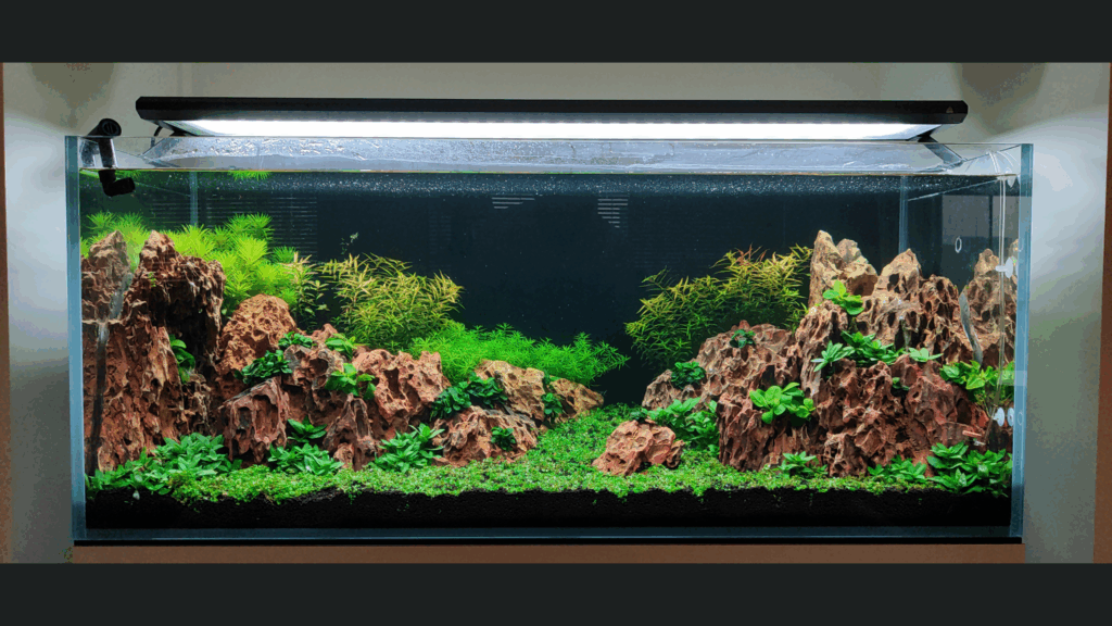 Gensou aquascape portfolio image 22