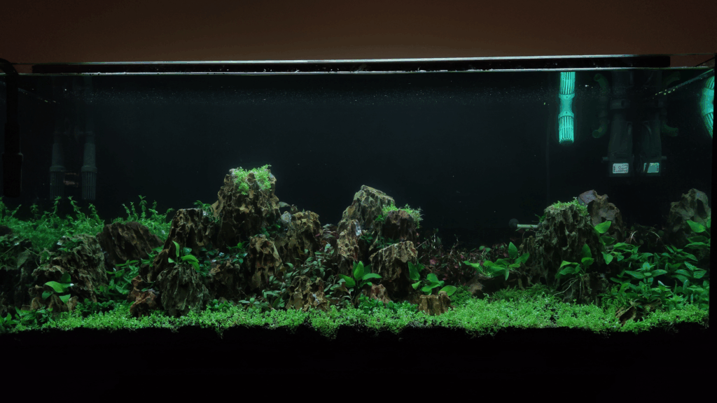 Gensou aquascape portfolio image 24