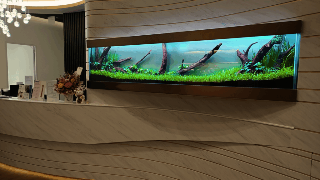 Gensou aquascape portfolio image 25