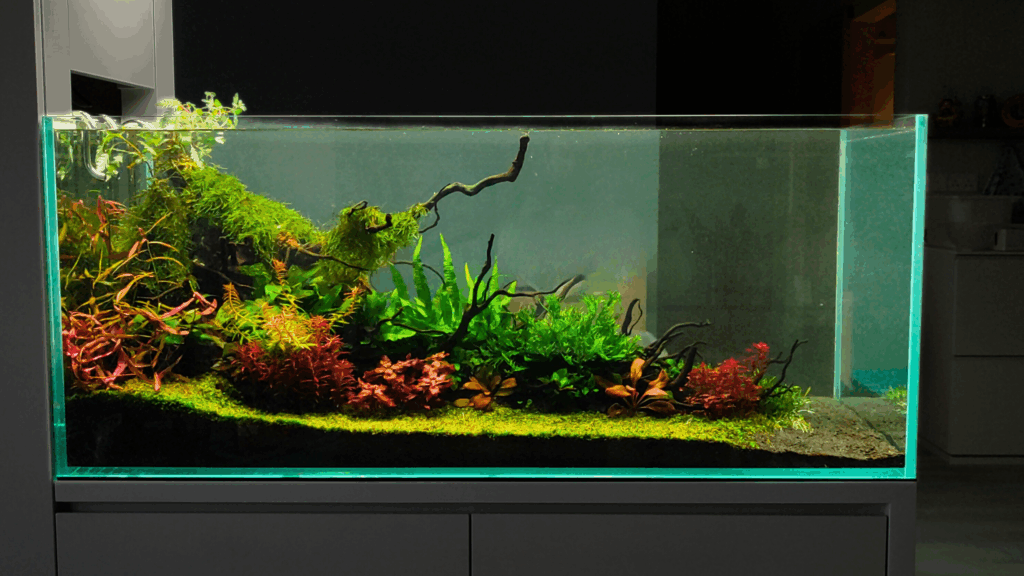 Gensou aquascape portfolio image 26