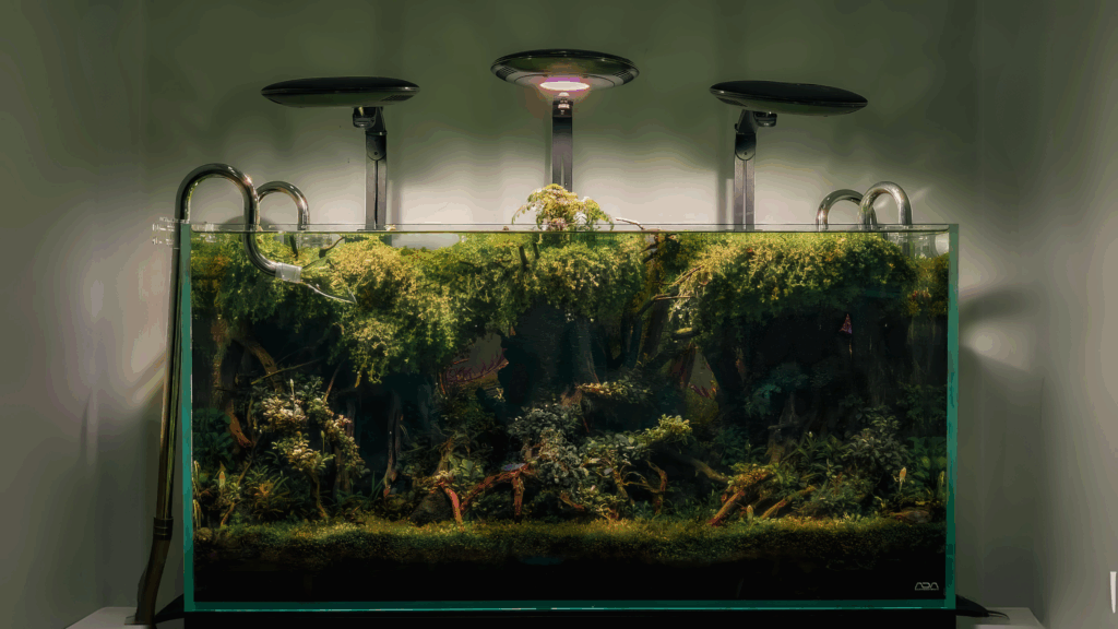 Gensou aquascape portfolio image 28