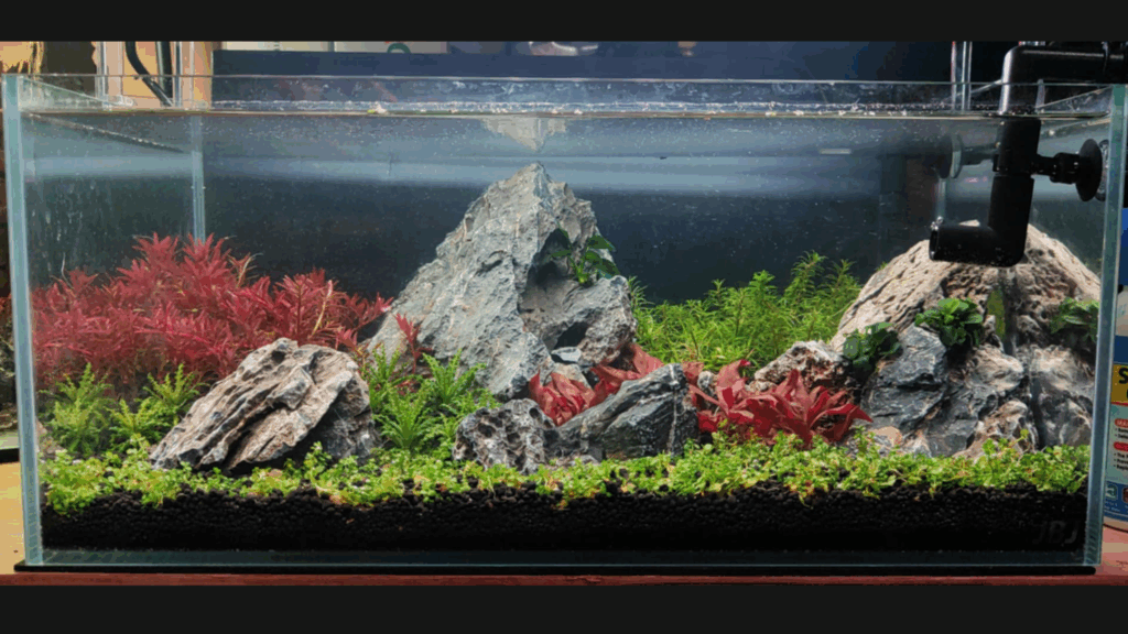 Gensou aquascape portfolio image 29