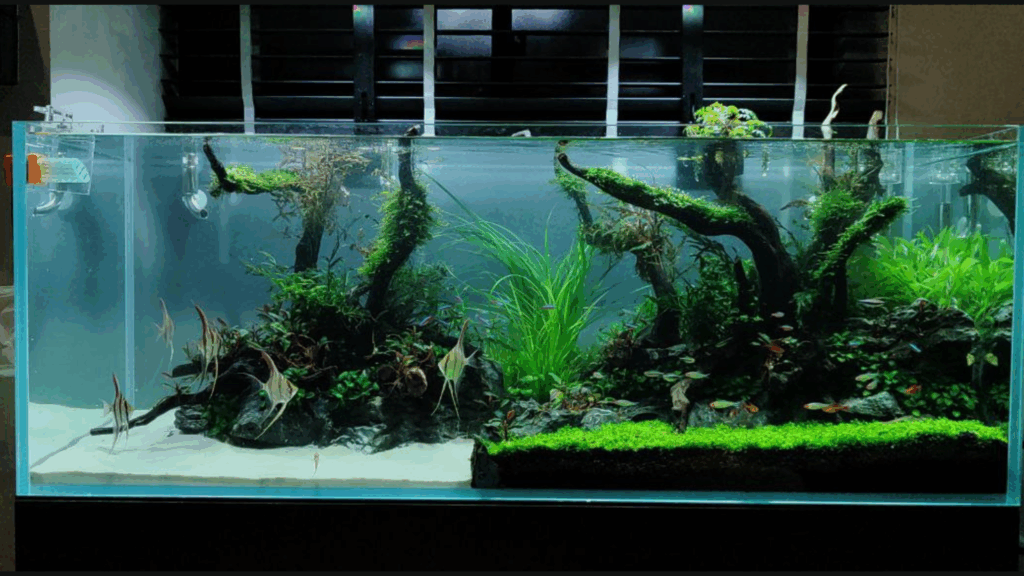 Gensou aquascape portfolio image 31