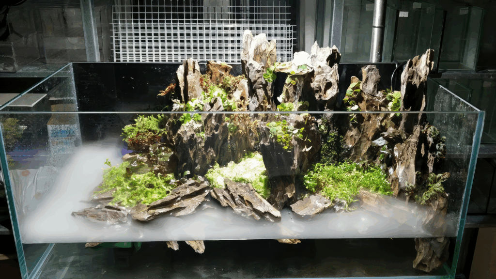 Gensou aquascape portfolio image 4