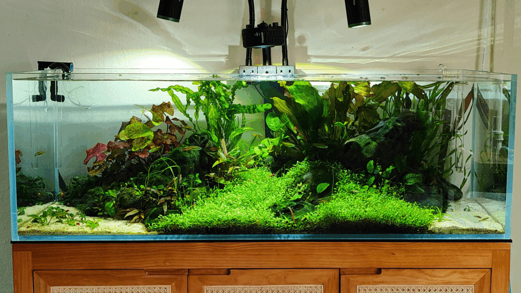 Gensou aquascape portfolio image 6