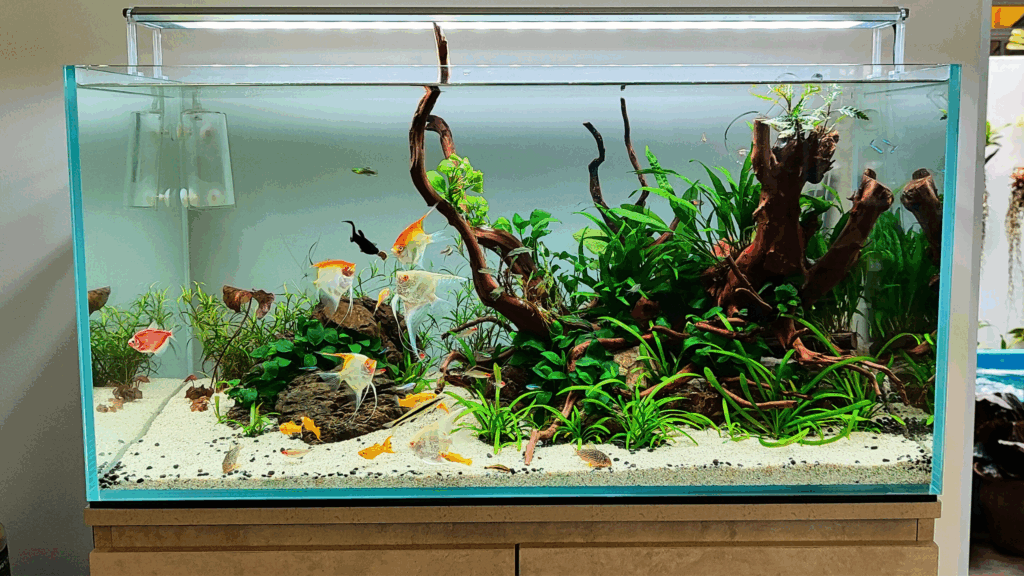 Gensou aquascape portfolio image 7