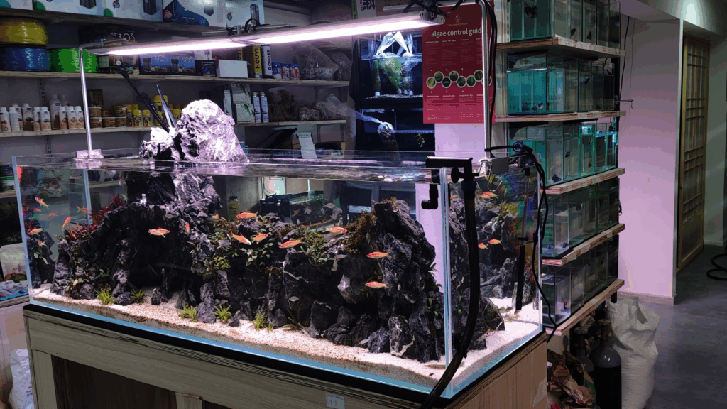 Gensou aquascape portfolio image 8