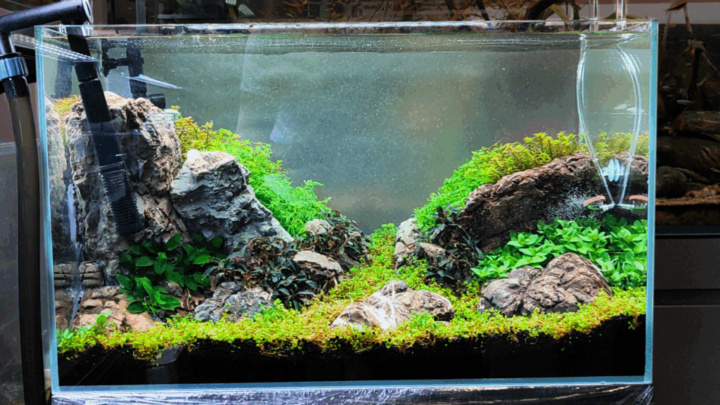 Gensou aquascape portfolio image 9
