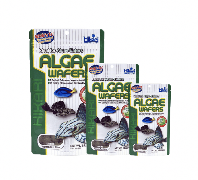 HIKARI Algae Wafers