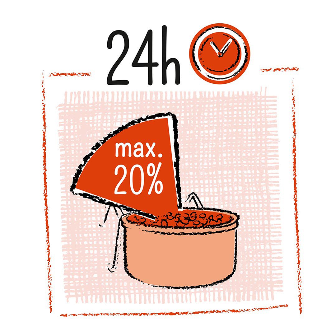 Country Seed Sticks Parakeet Kiwi Pear