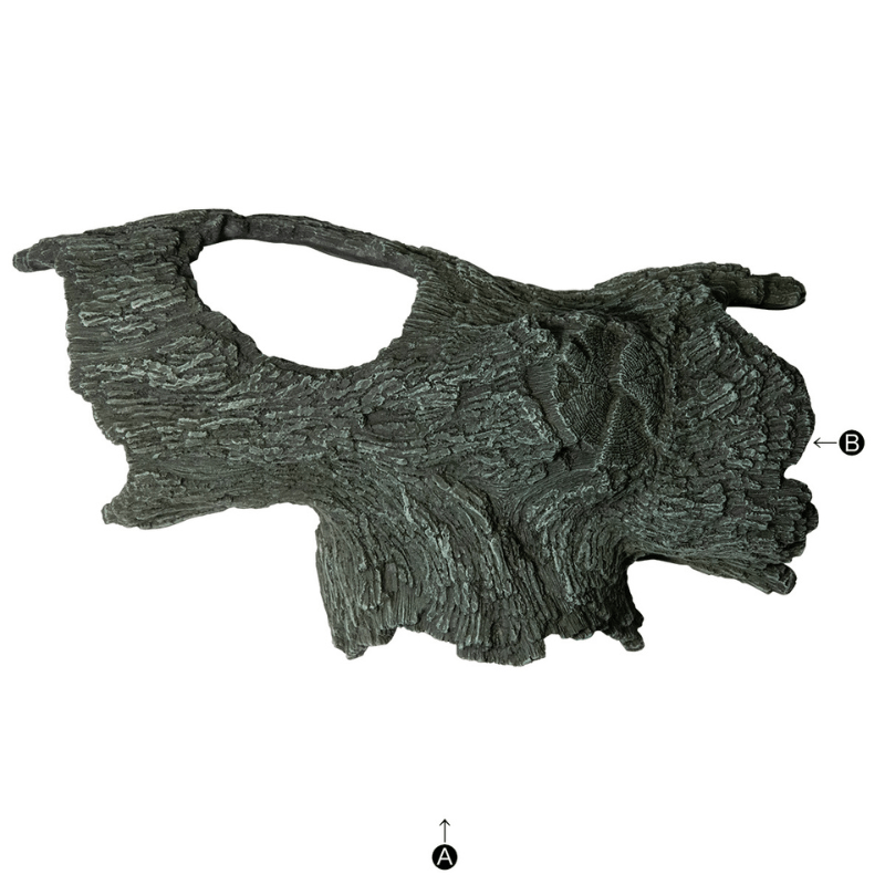 SUDO S-1829 Tunnel Ryuboku Bark L - (Decoration for small fish)