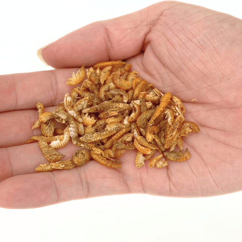 Nature Grains! Gammarus (550/2600ml)