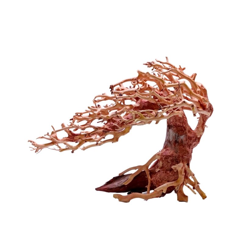 ANS Bonsai Tree 17DS (23 x 17 x 10cm)
