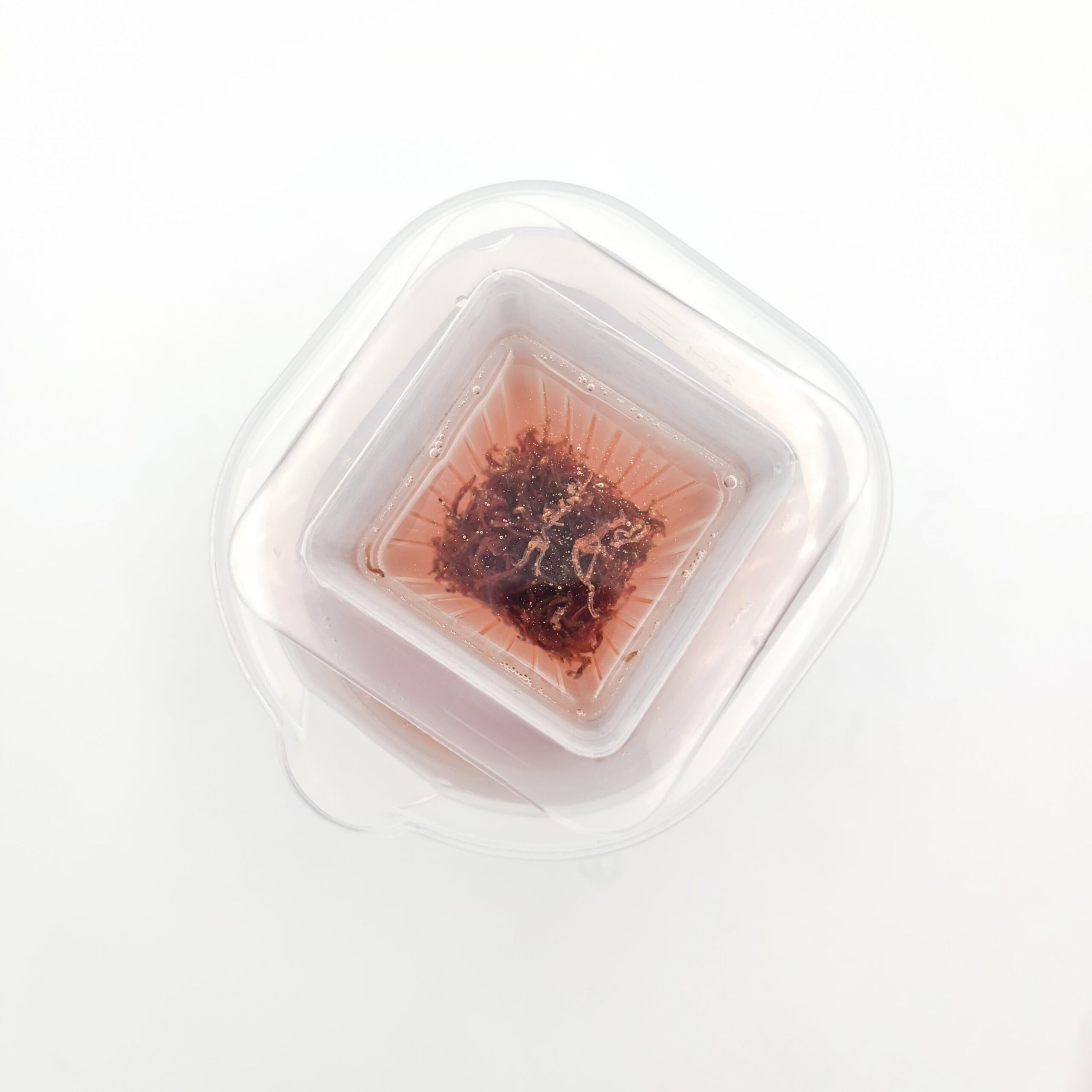 iLONDA Floating Red Worms Feeding Cup