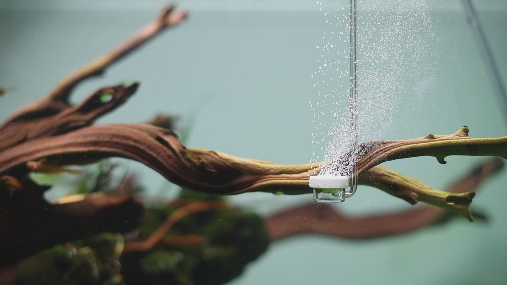 NEO Air Curved Special (M/L) - Made In Korea