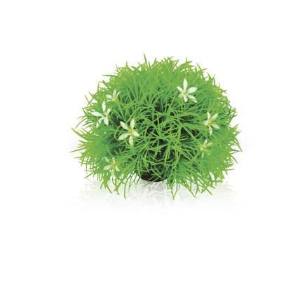 biOrb Topiary ball with daisies