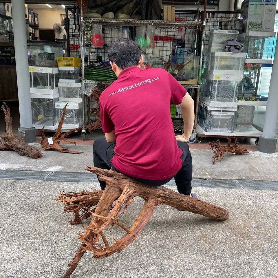 ANS Malayan Aquascape Driftwood XXXL (90-120cm)