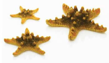 biOrb Sea Stars Set of 3