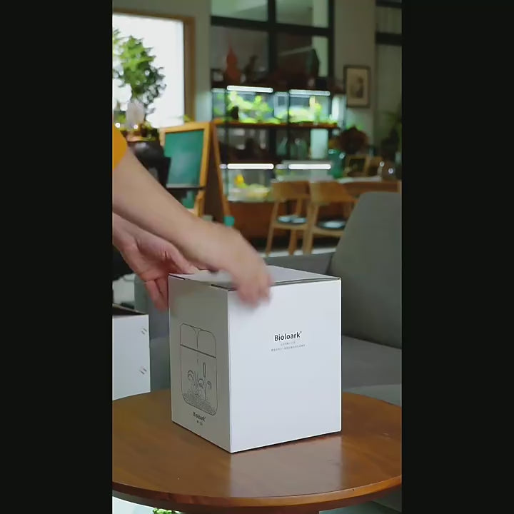 BIOLOARK Dew Glass Cup (Micro Terrarium) MY Series