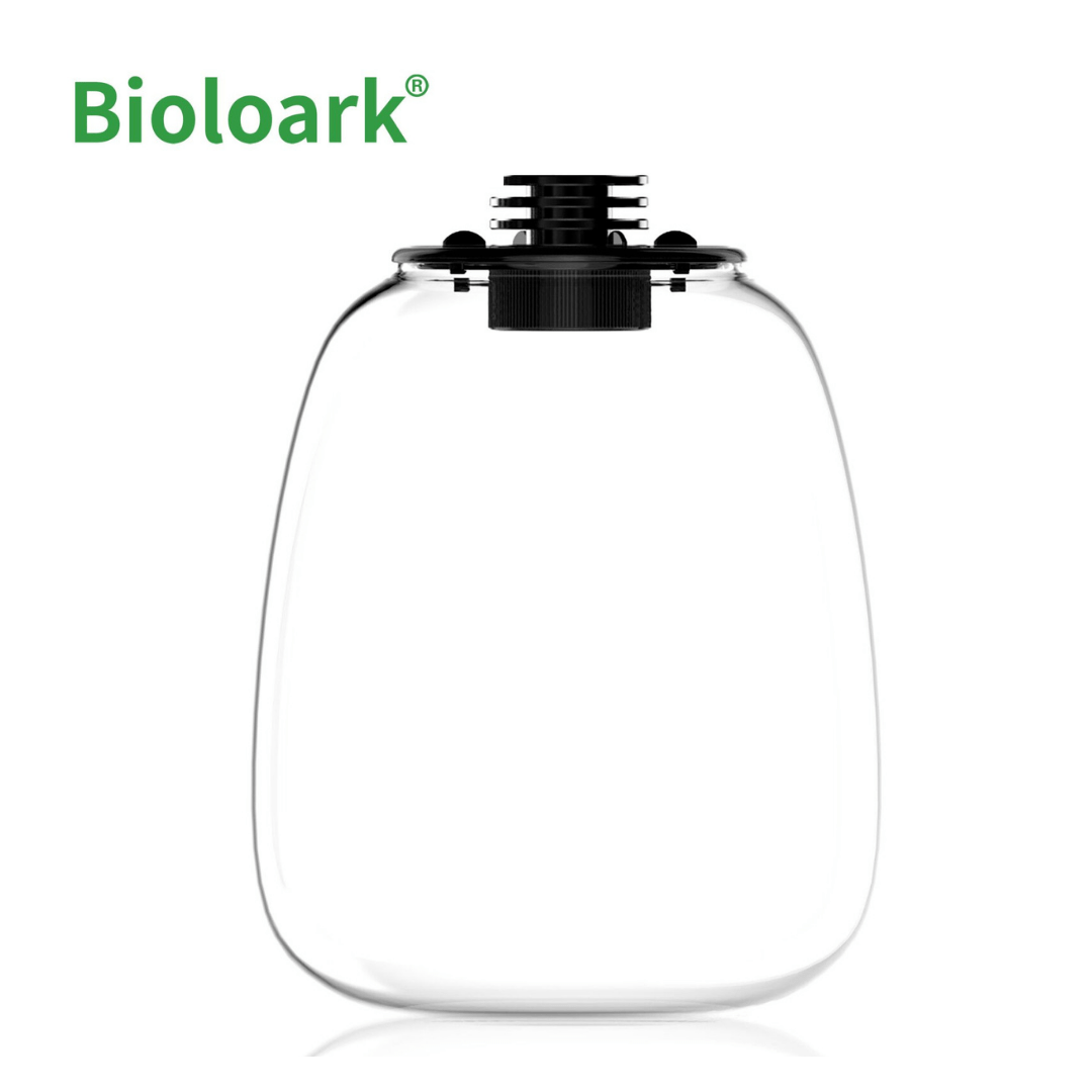 BIOLOARK - Bio Bottle Terrarium (QD-172/ QD-205) - Decoration Plant