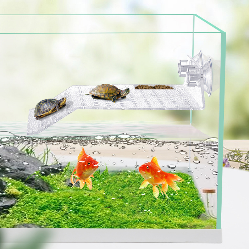 ANS Turtle Island - S/M/L