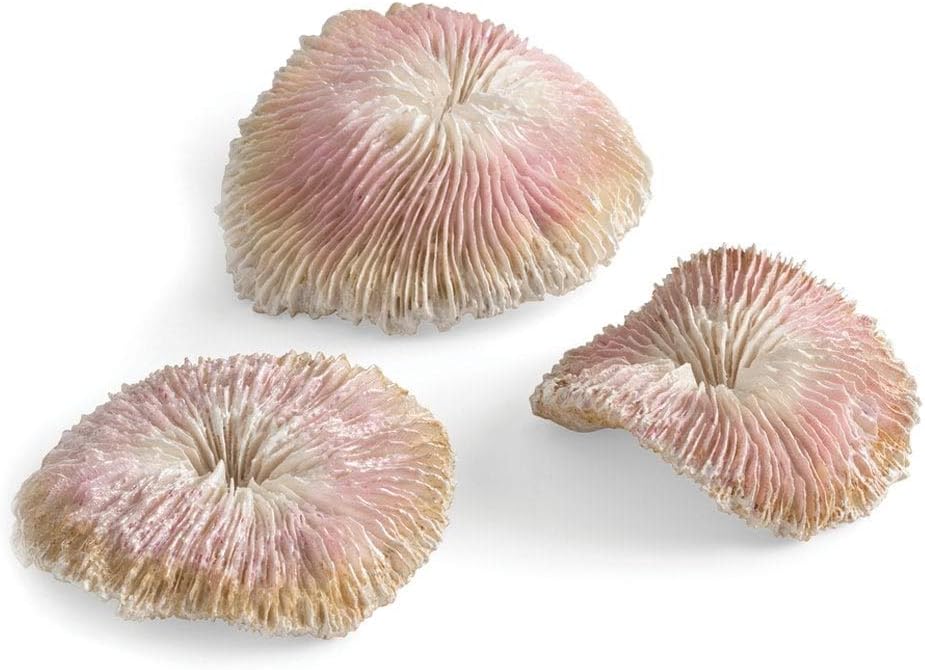 Biorb Plate Coral Set