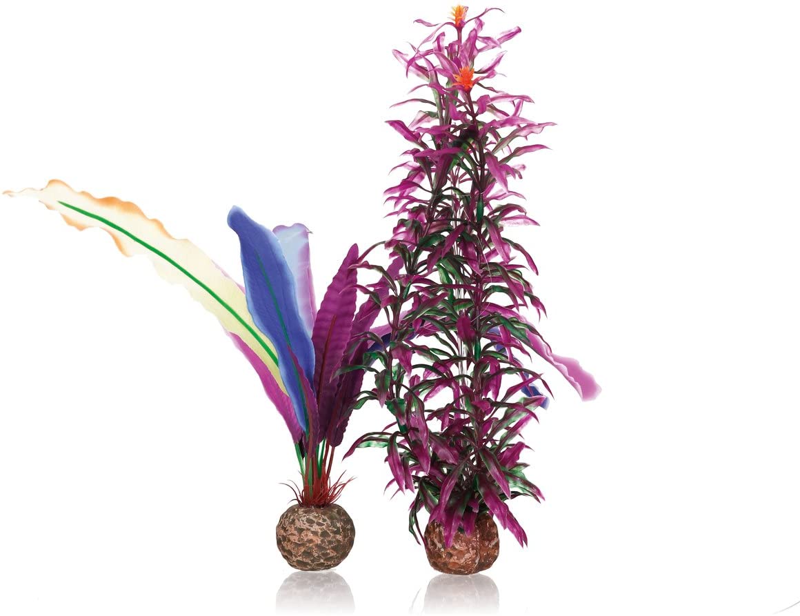 biOrb Parrots Feather decoration (S/M)