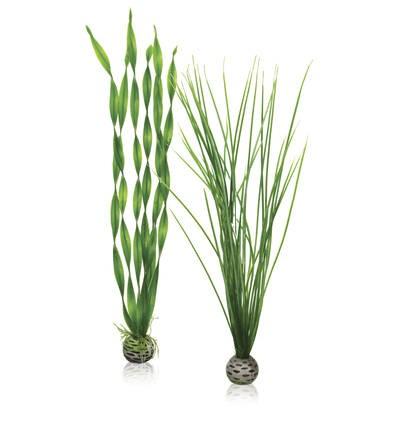 biOrb Easy Plant Set Green