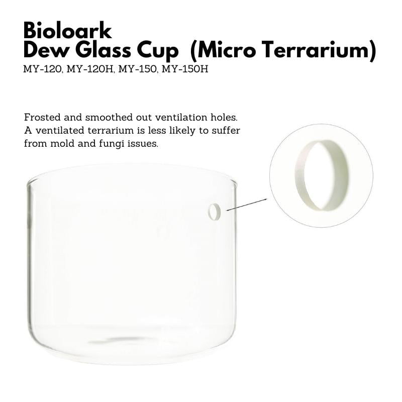 BIOLOARK Dew Glass Cup (Micro Terrarium) MY Series