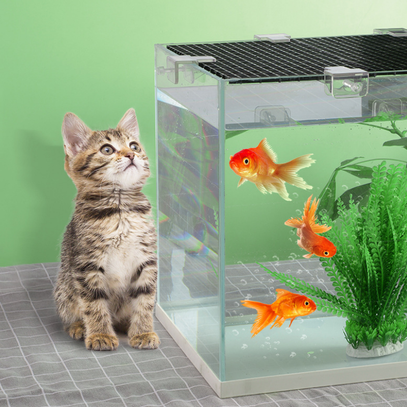 ANS Tank Cover Clip Multi Purpose Clip 6Pcs Pack