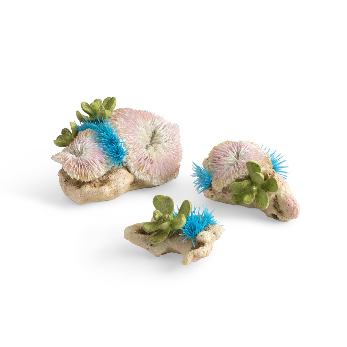 Biorb Plate Coral Button Polyp Set