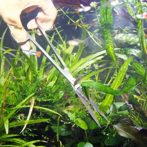 JBL ProScape Tool S (20/30) Straight