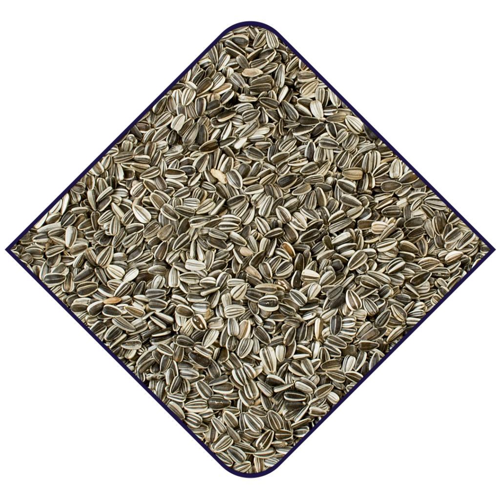 WITTE MOLEN Expert One Niger Seeds 18kg