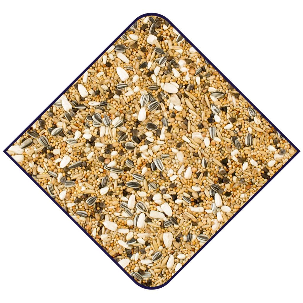 Witte Molen Expert Large Parakeets 5Kg