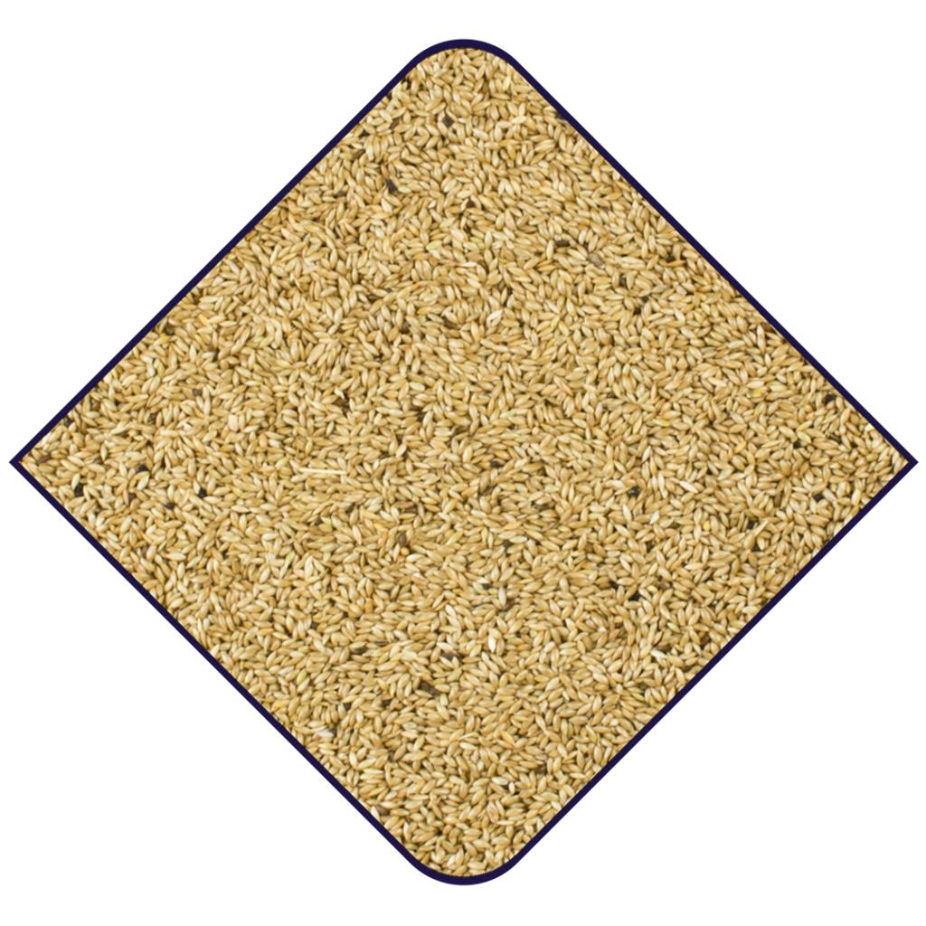 WITTE MOLEN Expert One Canary Seeds 20kg