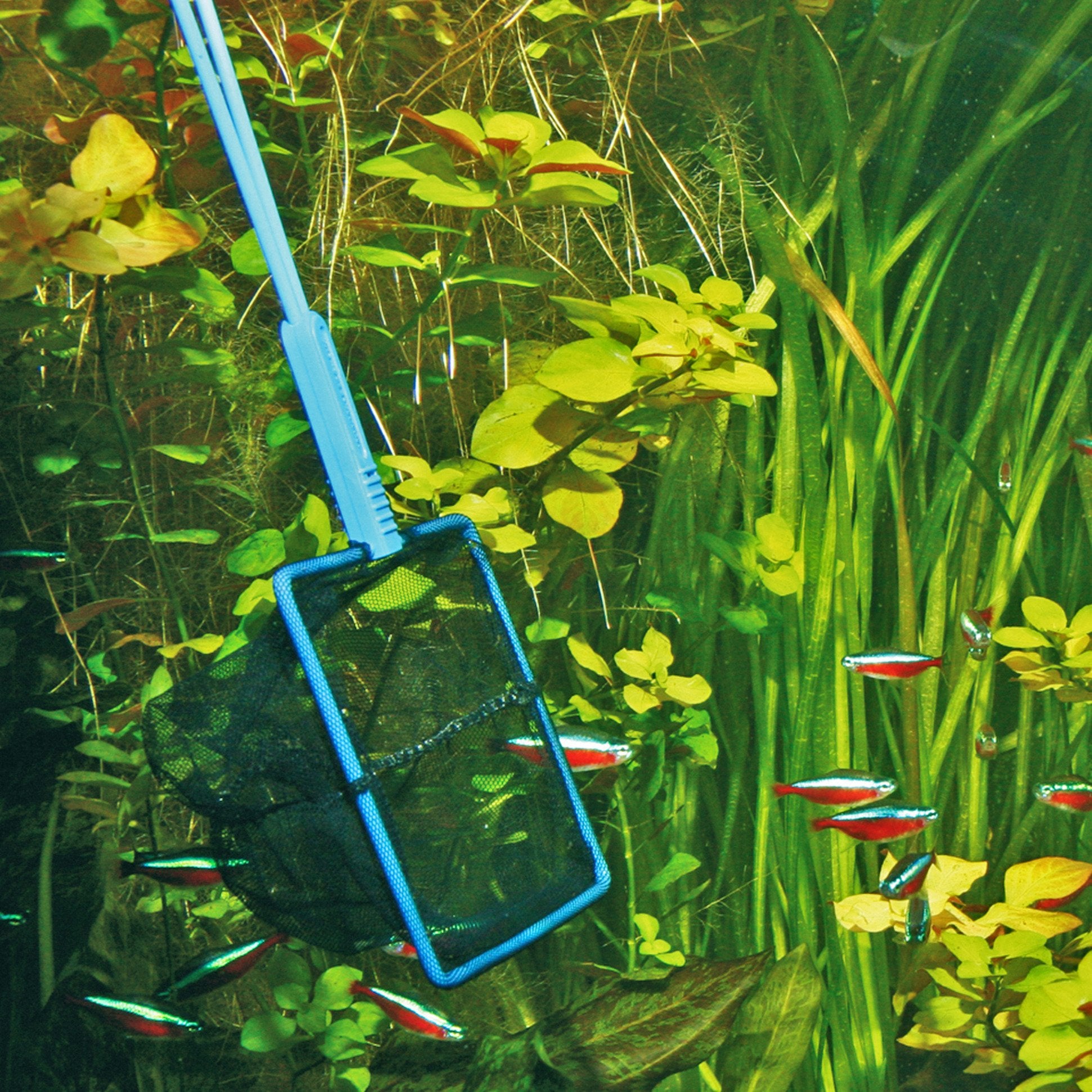 JBL Aquarium Fish Catch Net Fine-Meshed